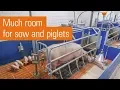 Variable-restraint pen with farrowing frame ActiWel