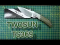 TWOSUN TS369 TITANIUM MICARTA D2 This is a REALLY GOOD ONE Action grip materials got it all