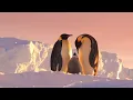 Download Lagu Antarctica: Tales from the End of the World