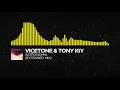 Vicetone & Tony Igy - Astronomia (Extended Mix)