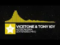 Vicetone \u0026 Tony Igy - Astronomia (Extended Mix)