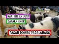 Download Lagu Harga domba garut dan domba priangan, hari ini 2.4 juta dapat 4 ekor (111125)