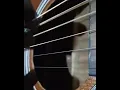 Download Lagu Tutorial petikan gitar  (peterpan semua tentang kita) mudah banget