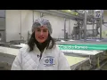How Italian Gorgonzola Cheese Is Made | Regional Eats | Food Insider