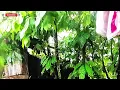 FULL ALBUM AKU CAH KERJO - LA TASYA FULL ALBUM - PLAYLIST LAGU JAWA TRENDING 2026