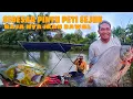 Download Lagu IKAN BAWAL SEBESAR PINTU||20 TON KURANG LEBIH||PONDOK TEPI SUNGAI SARANG NYA MONSTER BAWAL