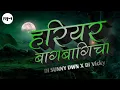 Lagu Hariyar Hariyar Bag Bagicha Cg Remix Dj Sunny Dwn x Dj Vicky // Remix Musical #हरियर बाग बगीचा