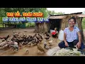 Download Lagu THÀNH QUẢ bất ngờ, hạt giống ân nhân đã nảy mầm XỨNG ĐÁNG - tập 1501