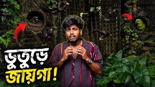 😨 এই ভাঙা বাড়ির গর্তে কী লুকিয়ে ছিল? দেখে আমি অবাক!