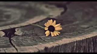 على حسب وداد      رح اقول للزين سلامات          دندنها