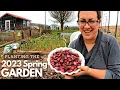 Frost-Tolerant Spring Garden is PLANTED Zone 7B Gardening