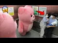 Download Lagu Trapped in Elevator with Giant Bear Mannequins Prank