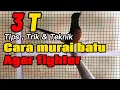 Download Lagu CARA PERAWATAN MURAI BATU AGAR FIGHTER #muraibatufighter #muraibatu #muraibatugacor #cara #tips