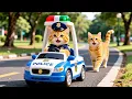 Download Lagu Mama Cat Trims Fur on the Farm and Makes Tiger Hat For Kittens At Home🐾🎩🐯