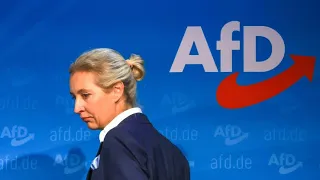 Faut-il se réjouir de la victoire régionale de l'AFD ?