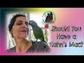 Why Get A Big Macaw When You Can Get An Incredible Mini Macaw