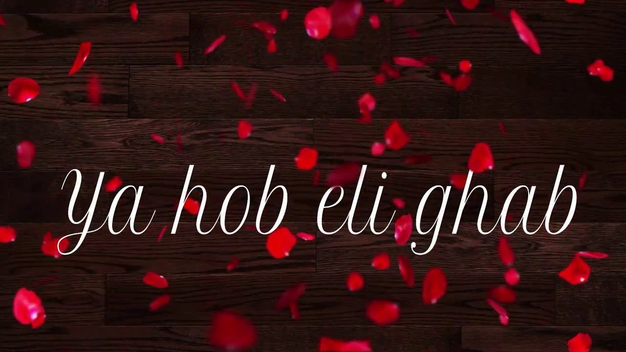 Melhem Barakat - Ya hobi ale ghab - ملحم بركات - يا حبي الي غاب Melhem Barakat - Ya hobi ale ghab - ملحم بركات - يا حبي الي غاب