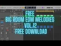 Lagu FREE BIG ROOM EDM MELODIES VOL.12 - FREE DOWNLOAD