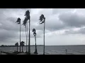 Hurricane Michael Storm Surge High Tide Tampa Bay Florida Windy Choppy Waves