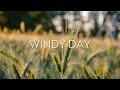 «Windy day» Beautiful Relaxing Music ☁ Peaceful Piano Music for Relaxation