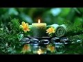 Download Lagu Sound of Water and Relaxing Music 🪴 Peace of Mind, Healing, Stress Relief