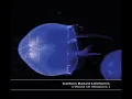 Carbon Based Lifeforms - World Of Sleepers [Full Album]