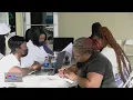 More than 1 400 Bahamians Looking to Work at Caribbean s First IHOP