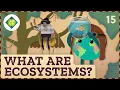 What Are Ecosystems Crash Course Geography