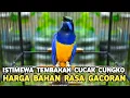 Download Lagu BURUNG MASTERAN JAWARA ISTIMEWA HARGA BAHAN DAPET RASA GACORAN DI PASAR BURUNG PRAMUKA