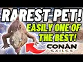 This pet is one of the Best Super Rare Conan Exiles