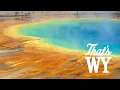 True Wonder That s WY