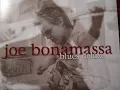 Joe Bonamassa ~ Wild About You Baby (Elmore James cover) ~ 2003 ~ Single Audio Video