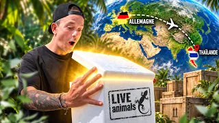 J’AI COMMANDÉ DES ANIMAUX RARES À L’AUTRE BOUT MONDE ( ils sont là ! ) -TOOPET