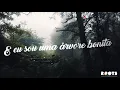 Edson Gomes - Árvore - Letra - Lyric Video