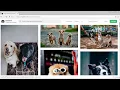 Lesson 15 Creating a basic HTML document structure Part 1 - Coding for Beginners course