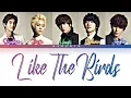 FT Island Like The Birds Color Code Lyrics Rom English Indonesia Trans
