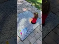 This coloring blanket is the best activity to entertain your kids