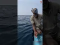 Download Lagu Deep Sea Fishing for Rosy Snapper #fishing #fishingvideo #fishingtime