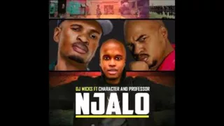 dj micks feat character u0026 professor njalo