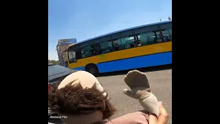 العروسة نزلت فى شوارع مصر - ابانوب فلكس