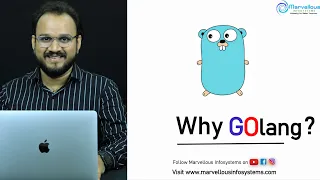  2 golang tutorial for beginners why golang why you should learn golang