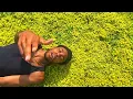 Download Lagu Michael Bahsil - LALA (Official Music Video)