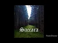 Download Lagu Saccara   Der letzte Mann