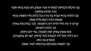 ניגון וורקי אמשינוב בני היכלא מאיר קליינר 