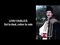 Download Lagu Liviu Vasilica - Sui la deal, cobor la vale