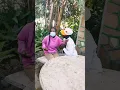 Download Lagu haundirambe challenge https://vm.tiktok.com/ZMSfw8Qj4/ .  posts:  https://www.tiktok.com/tiktoklite