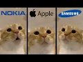 Download Lagu Moo Cat but famous phone ringtones