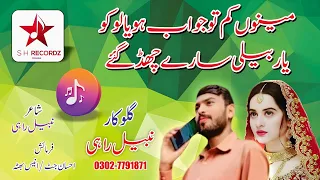 Kam Tu Jawab | Nabeel Rahi | New Punjabi & Saraiki Song 2024 | SH Records HD