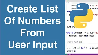 Create List Of Numbers From User Input Python Example