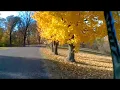 Hannibal Riverview Park